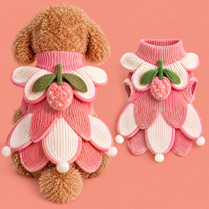 HAEYLORAN® 3D Strawberry Knit Sweater – Sweet Fruit Pet Pullover